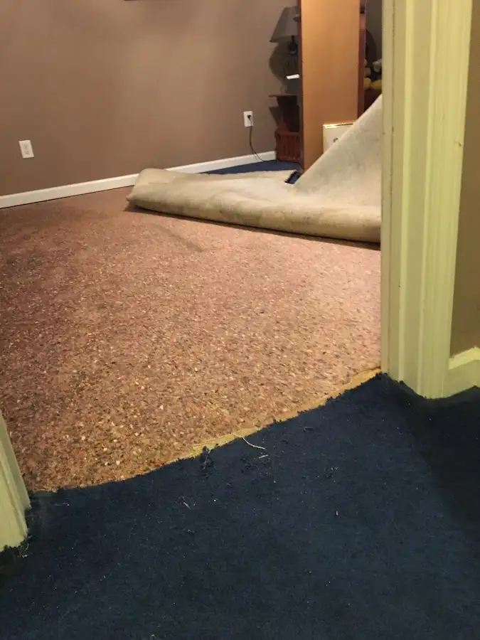 Carpet pad removal revealing water damage during Water Mitigation Services in Black Mountain