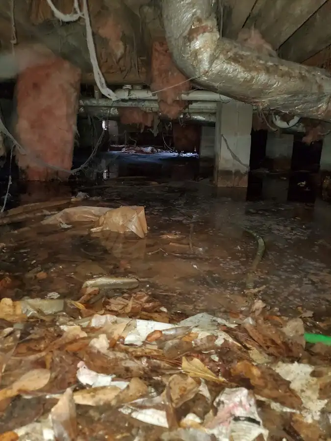 Crawl space flood assessment for Commercial Water Damage Restoration in Black Mountain