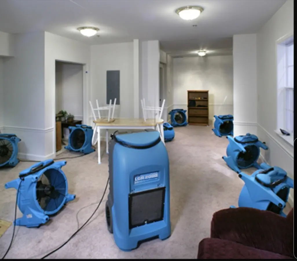 Air movers and dehumidifier setup for Water Extraction & Removal in Black Mountain