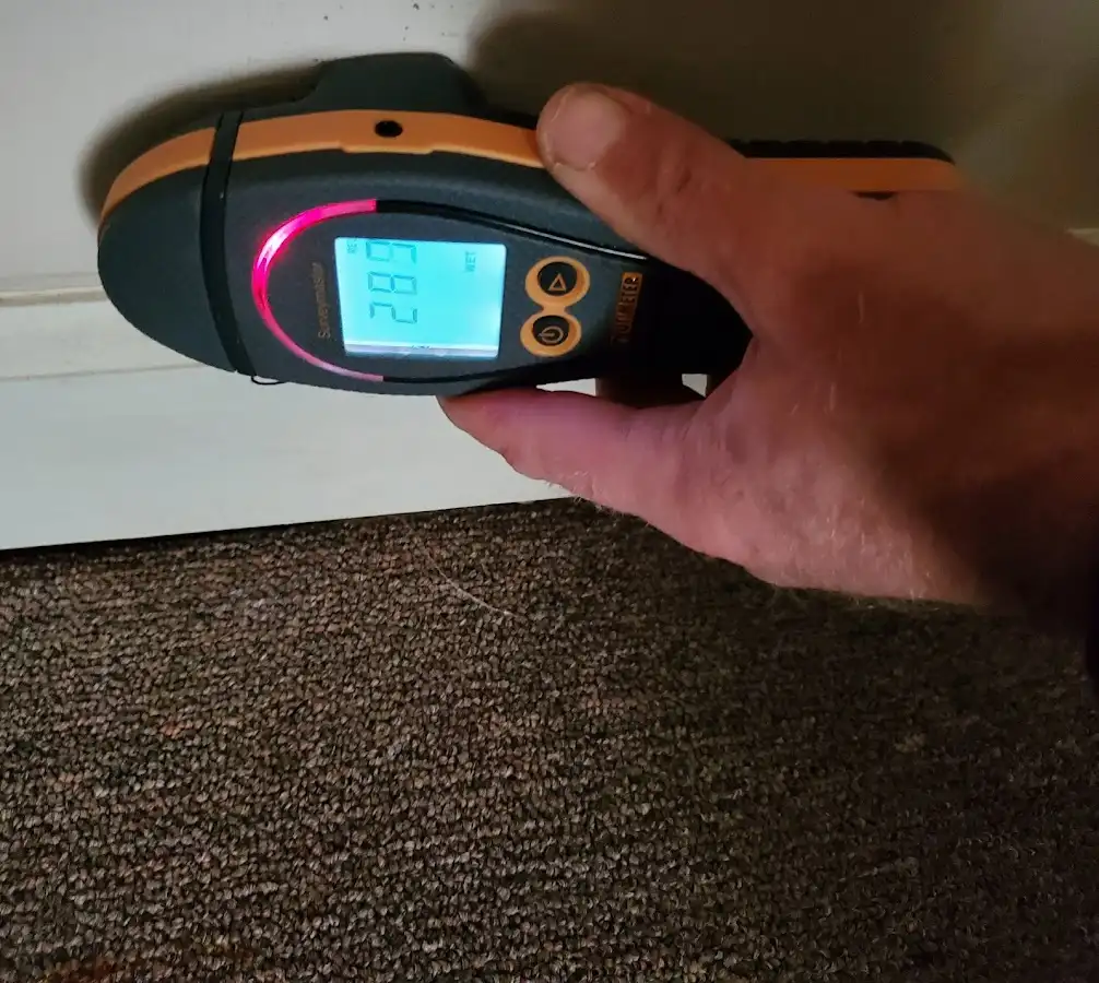 Moisture detection at baseboard during Burst Pipe Cleanup in Black Mountain